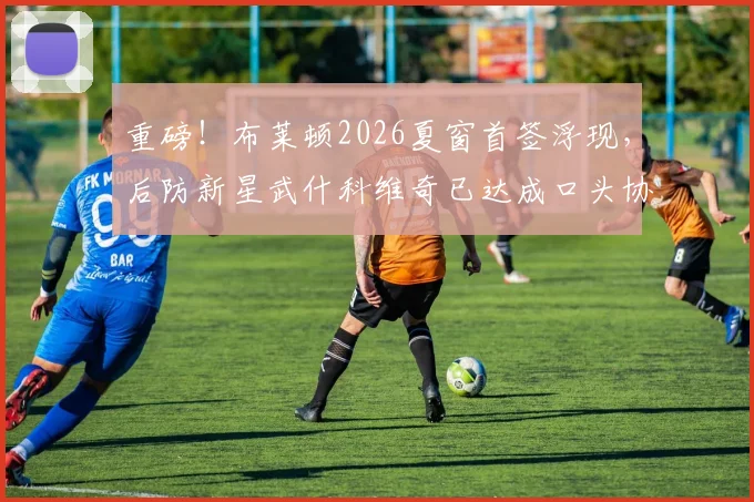重磅！布莱顿2026夏窗首签浮现，后防新星武什科维奇已达成口头协议
